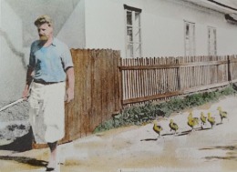 Konrad Lorenz and his ducks