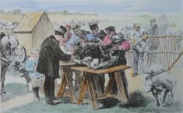 Louis Pasteur's anthrax vaccination experiment
