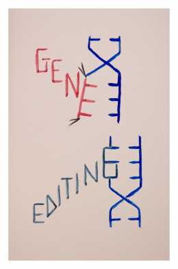 Gene Editing 7